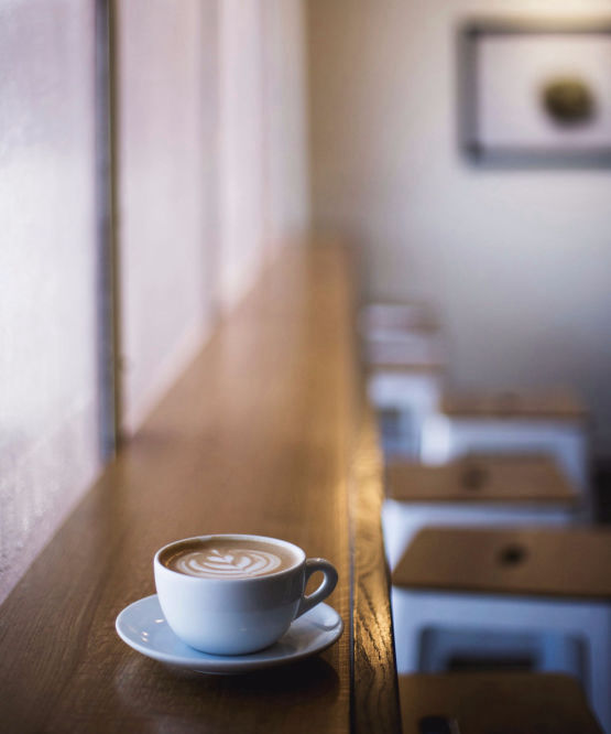 Normandie Désinsectisation à Caen : nous contacter